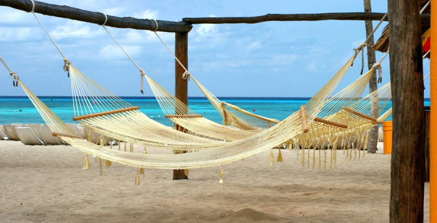 Sunny Side Up With PJ